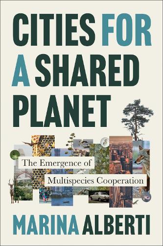 Cities for a Shared Planet