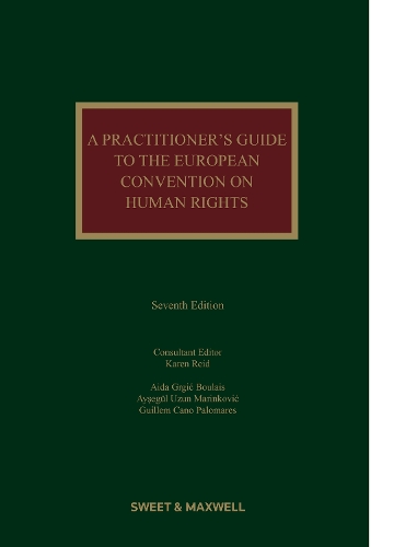 A Practitioner's Guide to the European Convention on Human Rights.