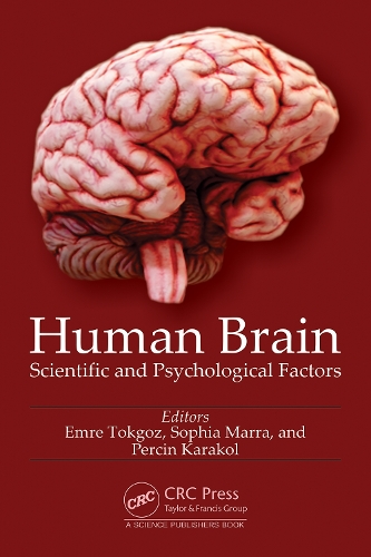 Human Brain