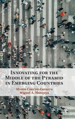 Innovating for the Middle of the Pyramid in Emerging Countries.