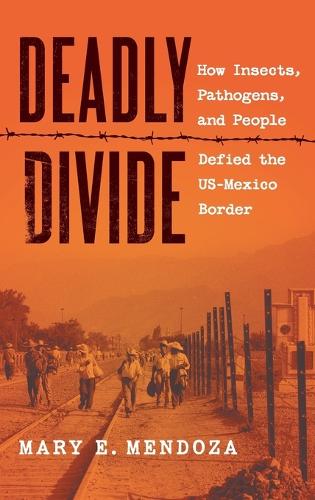 Deadly Divide