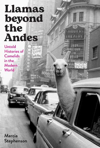 Llamas beyond the Andes