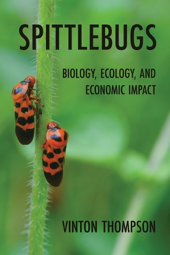 Spittlebugs