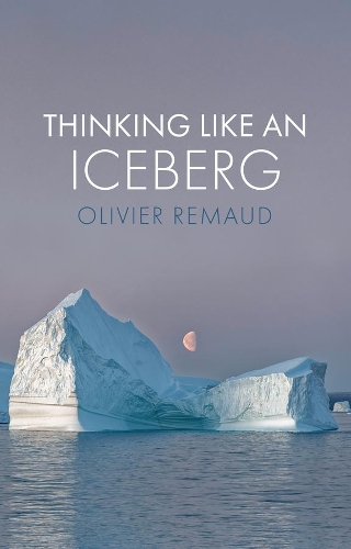 Thinking Like an Iceberg.
