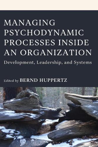Managing Psychodynamic Processes Inside an Organization