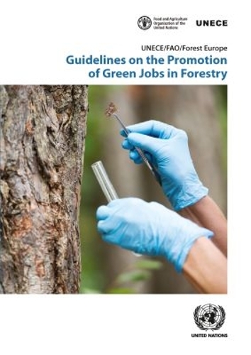 Guidelines on the Promotion of Green Jobs in Forestry.